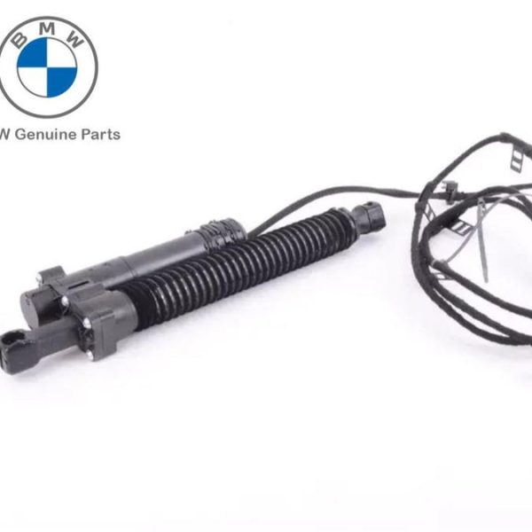 Original BMW F10 Spindle Motor Drive Power Back Door Bagasi KIRI