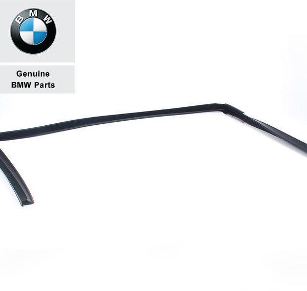 Original BMW E39 Channel Cover Karet Seal Jendela Pintu DEPAN KIRI