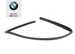 Original BMW E39 Channel Cover Karet Seal Jendela Pintu DEPAN KANAN