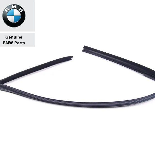 Original BMW E39 Channel Cover Karet Seal Jendela Pintu DEPAN KANAN