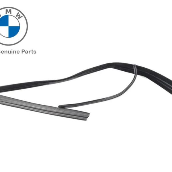 Original BMW F01 F02 karet channel kaca Window Guide - DEPAN KIRI