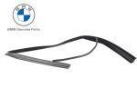 Original BMW F01 F02 karet channel kaca Window Guide - DEPAN KANAN