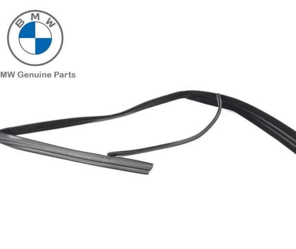 Original BMW F01 F02 karet channel kaca Window Guide - DEPAN KANAN