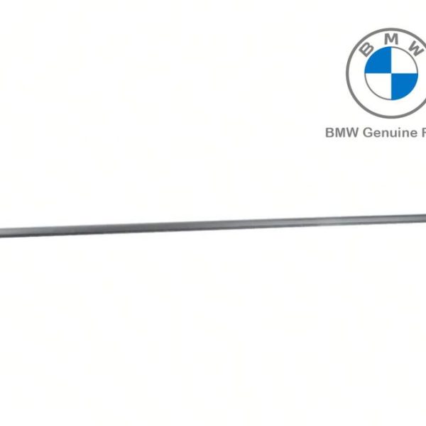 Ori BMW F30 Cover Lis Pelipit Kaca Luar Pintu Depan KANAN Hitam Doff