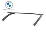 Ori BMW F15 X5 F85 X5M karet channel kaca Window Guide DEPAN KANAN