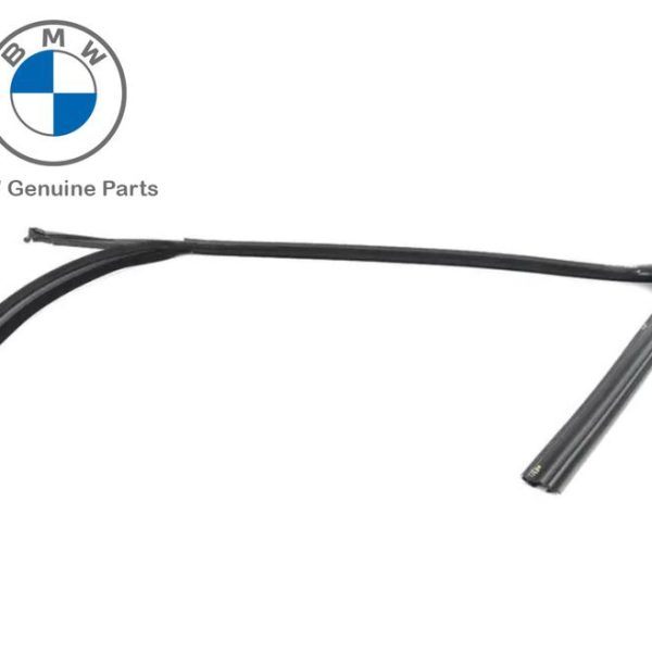 Ori BMW F15 X5 F85 X5M karet channel kaca Window Guide DEPAN KANAN