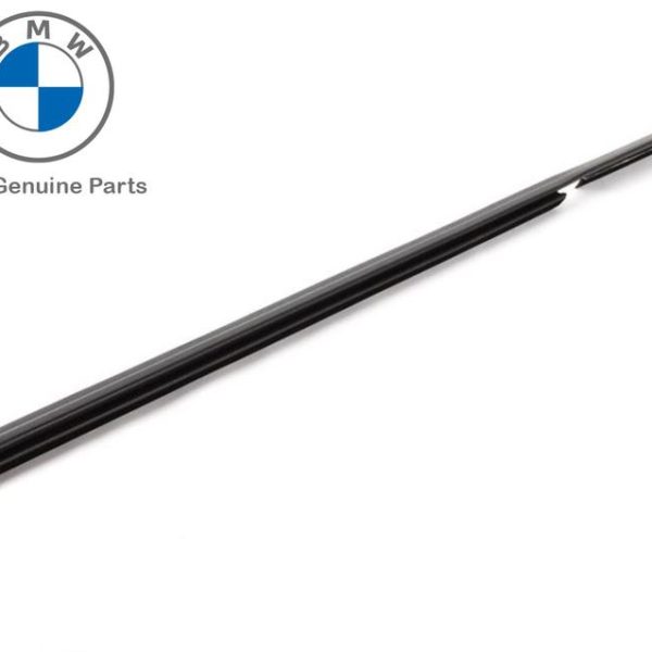 Original BMW E46 Sedan Pelipit Dalam Karet Kaca Pintu Belakang KANAN