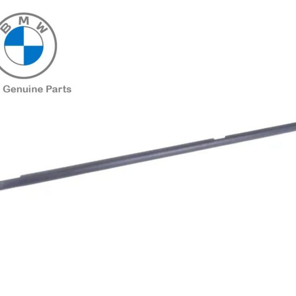 Original BMW E53 X5 Pelipit Kaca Luar Karet Seal Pintu BELAKANG KIRI 51348251595