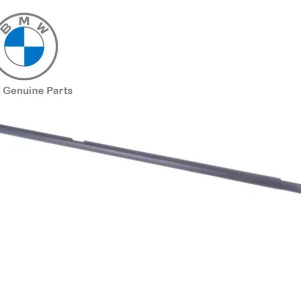 Original BMW E53 X5 Pelipit Kaca Luar Karet Seal Pintu BELAKANG KANAN 51348251596