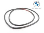 Original BMW F30 Weatherstrip Karet Seal Pintu Belakang 51357258330