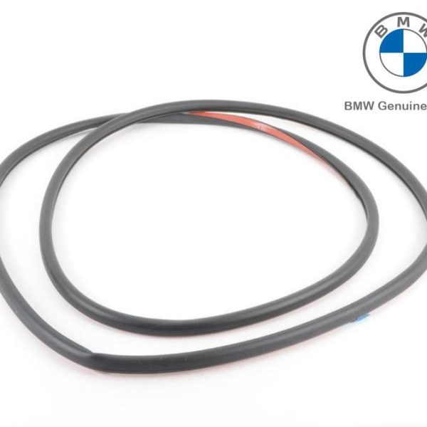 Original BMW F30 Weatherstrip Karet Seal Pintu Belakang 51357258330