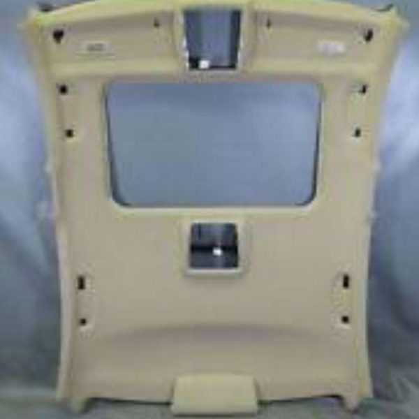 Original BMW E71 X6 Panel Trim Plafon Headliner Beige