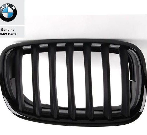 Original BMW E70 X5 E71 X6 M Performance Black Kidney Gril KANAN
