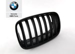 Original BMW E70 X5 E71 X6 M Performance Black Kidney Gril KIRI