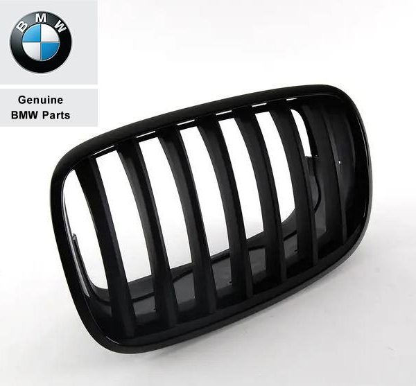 Original BMW E70 X5 E71 X6 M Performance Black Kidney Gril KIRI