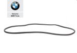 Original BMW E53 X5 Weatherstrip Karet Seal Pintu Bagasi Belakang