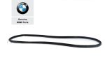 Original BMW F15 X5 Weatherstrip Karet Seal Body Pintu BELAKANG