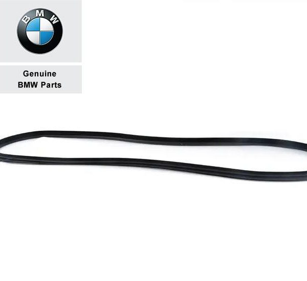 Original BMW F15 X5 Weatherstrip Karet Seal Body Pintu BELAKANG