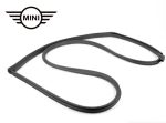 Original MINI Clubman R55 Karet Seal Pintu Body KANAN 51767167218