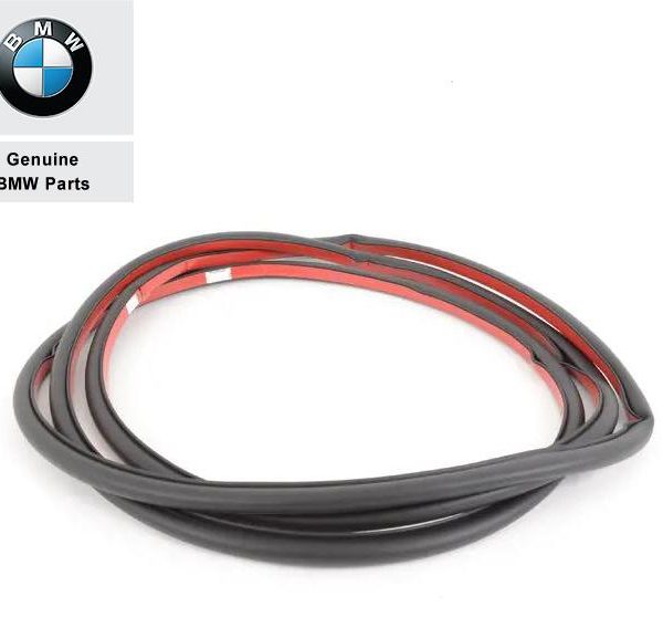 Original BMW E70 X5 Weatherstrip Karet Seal Pintu DEPAN Kiri / Kanan