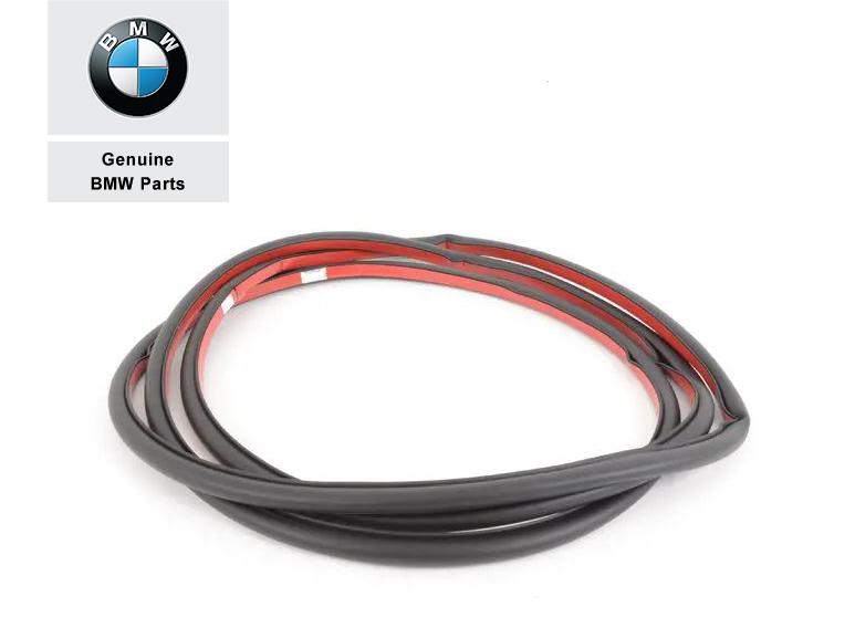 51767220381_A Original BMW E70 X5 Weatherstrip Karet Seal Pintu DEPAN Kiri / Kanan - Image 1