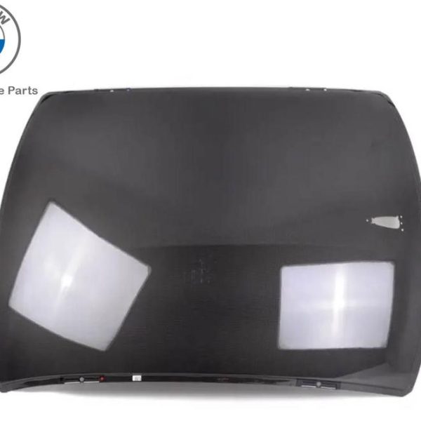 Original BMW E92 Coupe Carbon Fiber M3 Roof 54108045327