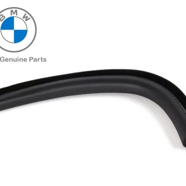 Ori BMW Z3 Window Guide Karet L Kaca Samping Depan KANAN 54318397662