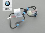 Original BMW E70 X5 E71 X6 Lampu LED Handle Pintu Depan kiri