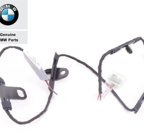 Original BMW E70 X5 E71 X6 Lampu LED Handle Pintu Belakang Kanan