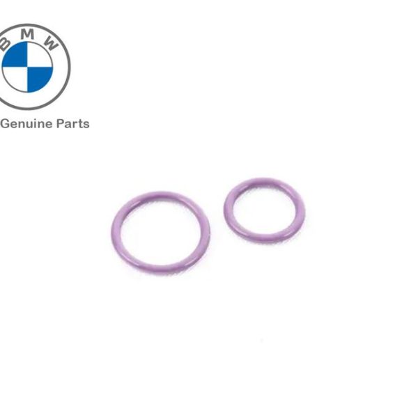 BMW E70 F15 X5 E71 F16 X6 Seal O-Ring Expansion Valve Evaporator