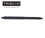 Triscan BMW E70 X5 Shock Penahan Pintu Bagasi Belakang 51247294199