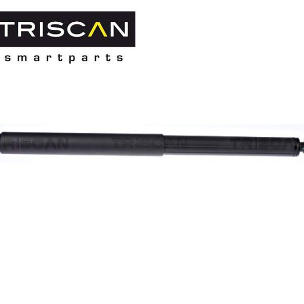 Triscan BMW E70 X5 Shock Penahan Pintu Bagasi Belakang 51247294199