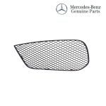 Original Mercedes W156 X156 GLA Class Cover Grill Bemper Depan KIRI