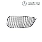 Original Mercedes W156 X156 GLA Class Cover Grill Bemper Depan KANAN