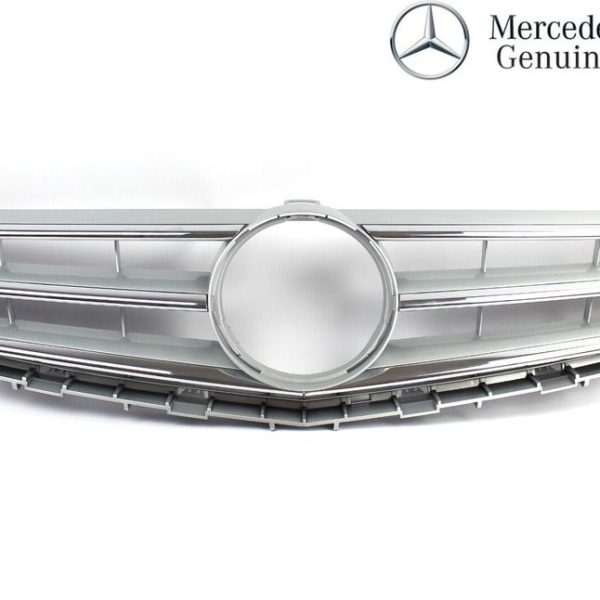 Original Mercedes W169 Facelift A Class Front Grille Gril Depan Silver