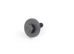 Original BMW F30 F32 F87 M2 F80 M3 F82 F83 M4 Hex Bolt Baut Fender