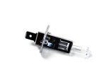Original BMW H1 55W Halogen Bohlam Lampu Depan / Kabut - Image 5