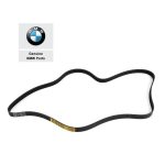 Original BMW E36 E46 M43 V Belt Ribbed Fan Belt 6PK1733 11281437369