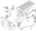 Original BMW Lower Radiator Hose - Selang Radiator Bawah E46 M52 M54 - Gambar 5