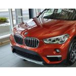 Original BMW F48 X1 X-Line Kidney Grill X Line Gril Pre-Facelift SET - Image 3