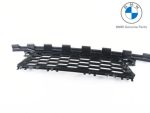 Original BMW G29 Z4 M Sport Front Bumper Grille Gril Bemper Depan Tengah 51118069766