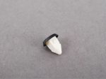 Original BMW Expanding Nut Grommet Plat Nomor Bagasi 51127020321 - Image 3