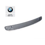 Original BMW E46 325i 330i Facelift Air Inlet Hood Gril Kisi Kap Mesin
