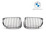 Original BMW E46 Pre-LCI 318I Kidney Grill Gril Depan SET KIRI DAN KANAN 51138208487 51138208488
