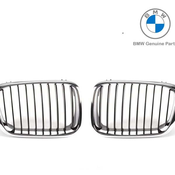 Original BMW E46 Pre-LCI 318I Kidney Grill Gril Depan SET KIRI DAN KANAN 51138208487 51138208488