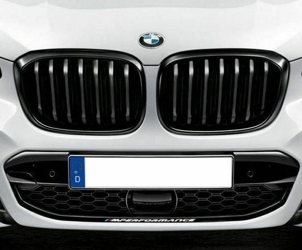 Original BMW G01 X3 Individual Kidney Grill High Gloss Black Hitam