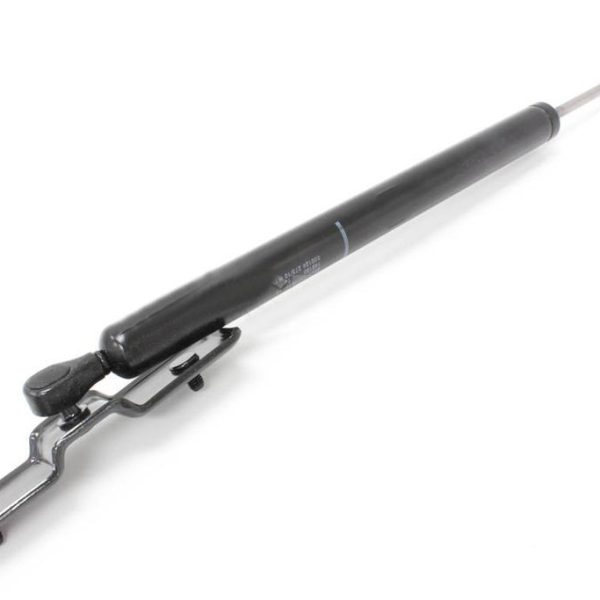 Original BMW F02 Front Door Brake - Stopper Penahan Pintu Depan KIRI