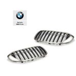 Genuine BMW G30 G31 Cerium Grey M Kidney Grilles Gril M550i Style