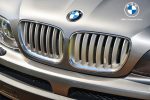 Original BMW E53 X5 Facelift Chrome Titanium Kidney Grille Grill Depan