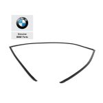 Original BMW E39 Rubber Seal Karet Lis Kaca Belakang Atas 51318159785